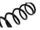 Genuine Nissan 350Z (03-09) Rear Suspension Spring