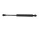 Genuine Nissan 350z (03-09) Convertible Boot Strut