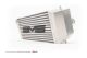 AMS Performance  Ford F-150 2.7L/3.5L (17-19) Ford Raptor 3.5L (15+) 5.5in Thick Intercooler Upgrade