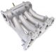 Skunk2 Honda D-Series Applications - Pro Intake Manifold - D Series