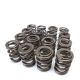 Skunk2 Honda K20, K24, F20C And F22C VTEC Applications - Alpha Valve Spring Set - K20/K24/F20C/F22C VTEC