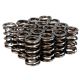 Skunk2 Honda K20, K24, F20C And F22C VTEC Applications - Pro XP Valve Spring Set - K Series