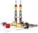 Skunk2 Honda Civic (92–95) - Sport Shocks