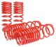 Skunk2 Honda Accord (90–97) - Lowering Springs