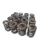 Skunk2 Honda B16, B17 And B18 VTEC Applications - Alpha Valve Spring Set - B VTEC
