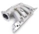 Skunk2 Honda Civic Si K20Z3 (06–11) - Pro Intake Manifold - K20Z3 Style