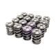 Skunk2 Honda K-Series Applications - Alpha Valve Spring & Ti Retainer Kit - K Series