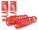Skunk2 Honda Civic (92–95) - Lowering Springs