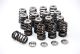 GSC Power Division Subaru EJ Engine Beehive Spring Set with Titanium Retainer