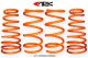 ARK Performance Hyundai Tiburon (03+) GT-F Lowering Springs