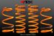 ARK Performance Mitsubishi Evolution X (08-11) GT-F Lowering Springs