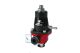 Aeromotive Chevrolet Corvette (92-96) & GM Ram-Jet 350 EFI Crate Engine - Billet LT1 Adjustable Regulator