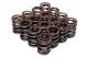 BLOX Racing Honda H22A (2.2L DOHC VTEC) Dual Valve Springs