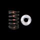 Brian Crower Toyota 1FZFE - Single Valve Spring & Titanium Retainer Kit
