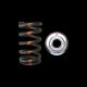 Brian Crower Mazda MZR Single Valve Spring & Titanium Retainer