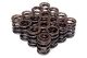 BLOX Racing Honda DOHC VTEC Dual Valve Springs