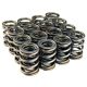 BLOX Racing Honda B18A-B / B20 (1.8L-2.0L DOHC) Valve Springs