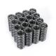Skunk2 Honda D15 And D16 SOHC VTEC Applications - Alpha Valve Spring Set