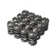 Skunk2 Honda H-Series Applications - Alpha Valve Spring & Ti Retainer Kit - H Series