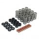 Skunk2 Honda L15B7 Applications - Ultra Valve Springs And Spring Base Kit