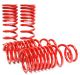 Skunk2 Honda Civic/CRX (88–91) - Lowering Springs