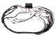 Haltech Elite 2500 GM GEN III LS1 (DBW Ready) Terminated Harness Only - EV1