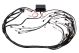Haltech Elite 2000/2500 GM GEN IV LS2 non DBW Terminated Harness Only EV1