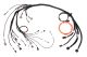 Haltech Nexus R3 Nissan RB 25/26/30 Terminated Harness
