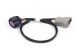 Haltech Nexus Rebel LS - 8-pin DBW adaptor