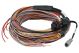 Haltech PD16 Wire-in harness - 5M / 16FT Length: 5M / 16FT