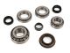 Genuine Nissan 350Z (03-09) & 370Z (09-20) Differential Bearings and Seals Full Kit R200