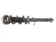 Genuine Nissan 370Z (09-15) Front Shock Absorber & Spring Kit