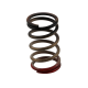 Turbosmart GenV WG HP 40psi Spring (Black/Red)