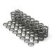 Brian Crower Honda K20A2/K20A/K24A2/F20C1/F22C1 Dual Valve Springs for High Lift Cams