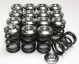 GSC Power Division Toyota Gen 3 3SGTE Valve Springs with Titanium Retainers- For Shim Under Bucket (Set of 16)