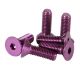 NRG Innovations Steering Wheel Screw Kit - Purple (Conical)